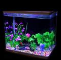 300Pcs Colorful Pebble Stones DIY Projects, Aquarium, Garden, Plants, Room Decoration, Art & Craft for Kids 9 Colors Size about 8mm. 