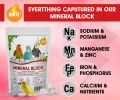 BOLTZ All Life Stages Natural Mineral Block with Cuttlefish Bone 250 gm for Birds. 