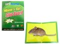 Easy Mouse Trap Boards, Extra Sticky Mouse Glue, Rodent Glue Trap Trap with Wide Mouse and Rat Capture Area, Mouse Traps. 