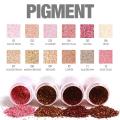 Focallure Super Glitter High Pigment Eye Shadow. 