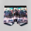 Original Branded Mens Boxer/Underwear/Shorts (Pack of 1). 