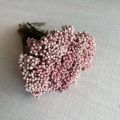 5~15CM/12PCS Natural Dried Preserved Millet Flower,Dry Tiny Ozothamnus Diosmifolius Flowers DIY For Candle Making Supplies,Resin. 