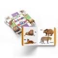 “My First Board Book Of ANIMALS”  Hard Bound Qaida  CD Size  Export Quality. 