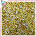 Handmade Origami Stars 100pcs Colorful Diy Origami Paper Stars Kit Handmade Lucky Star Crafts Gift for Friends Family Origami Star Kit. 