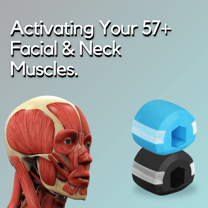 Jaw%20Exerciser%20Ball%20with%20Free%20Rope%20-%20Jawline%20Exerciser%20-%20Jawline%20Shaper%2060%20Lbs%20-%20Jaw%20line%20shaper%20for%20Face%20Beauty%20-%20Reduce%20Double%20Chin%20with%20jaw%20line%20rubber%20-%20Jawline%20chew%20For%20Men%20and%20Women%20-%20Image%204