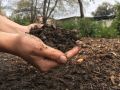 Fertilizer Buffalo || Bison Dung Manure Powder for Plants & Home Gardening || Compost for Gardening || 100% Dried Pure and Organic & Natural (3 KG). 