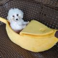 Banana Cat Bed House Cozy Cute Banana Puppy Cushion Kennel Warm Portable Pet Basket Supplies Mat Beds For Cats & Kittens. 