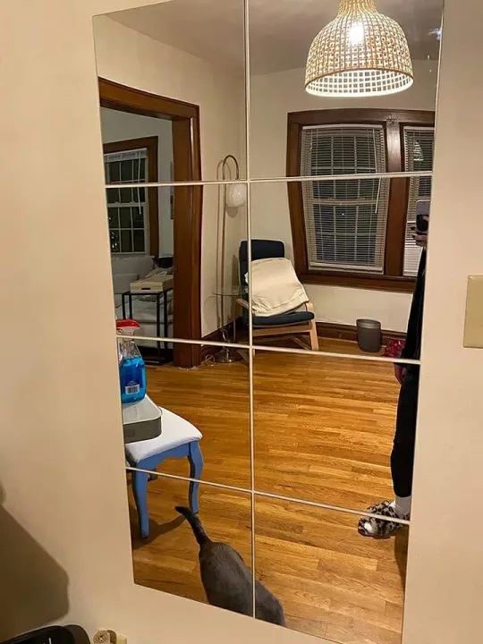 Flexible%20Acrylic%20Wall%20Mirror%20Self%20Adhesive%20Wall%20Mirror%20Home%20Decor%20Livings%20Bed%20Room%20And%20Offices%20And%20For%20Gifts%20Unbreakable%20Mirror%20-%20Image%202