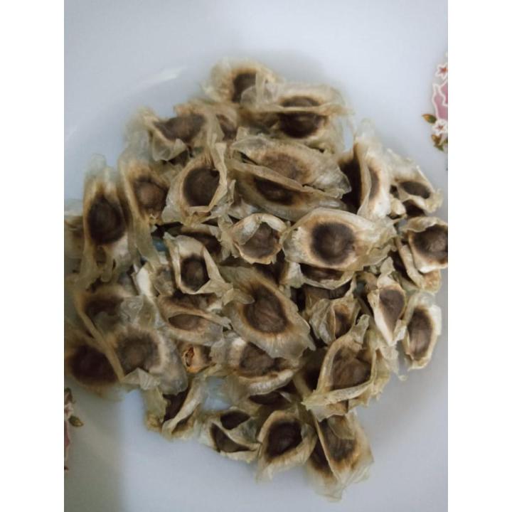 25 Moringa Seeds / Sohanjana Tree Plant Flower Seeds