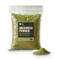 Duckweed Powder – 100% Dried Duckweed | ~31% Protein | 250g / 500g / 1kg | Feed Ingredient for Fish, Poultry & Livestock | FUL Foods. 