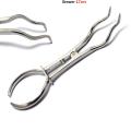 Endodontic Rubber Dam Brewer Clamp Forceps Dental Dam Clamp Placement Pliers 17 cm. 