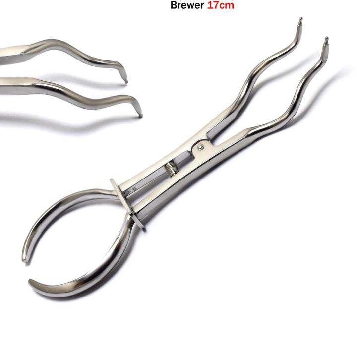 Endodontic Rubber Dam Brewer Clamp Forceps Dental Dam Clamp Placement Pliers 17 cm