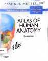 ATLAS OF HUMAN ANATOMY 6TH EDITION. 