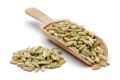 Saunf / Fennel Seeds 250g EXPORT QUALITY ORIGNAL PICS. 