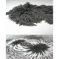 Iron Powder iron Sand, iron filling  For Art and crafts & Science Education. 