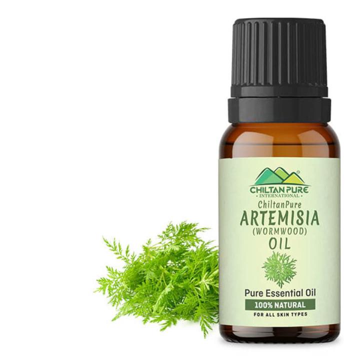 Artemisia Essential oil – Wormwood Essential Oil – Acts as an Emmenagogue, Relieves Nervous Afflictions & Prevents Microbial Infections