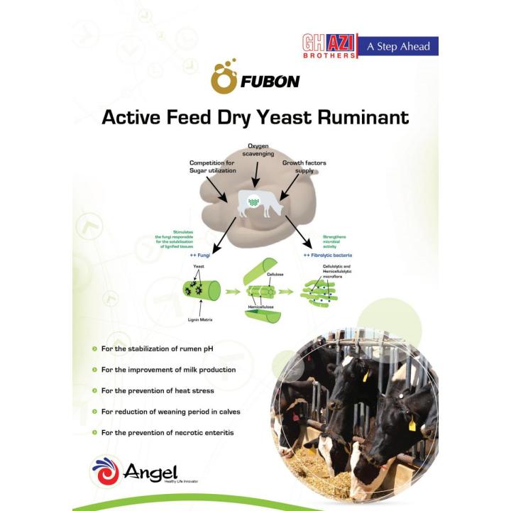 Fubon Active Feed Dry Yeast Ruminant For Animals 500g Pack