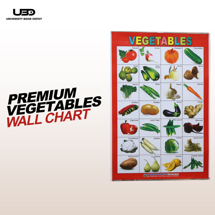 Vegetables Name Wall Chart | Wall Poster of Vegetable Names in English and Urdu with Pictures | HD Pictures Presentation For Preschool Kids on 200 grams Laminated Card 20*30 inches