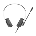 A4tech Fstyler FH100U Stereo Headset. 