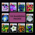 Pack of 10 Packets  All different Spring Summer Season Flower Seeds. 
