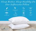 Soft Siesta Down Alternative Sleeping Pillow Amazon Product (Pack of 2). 