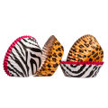 Diva Print 60pcs Medium Cupcake Cases - Premier Home-0805090. 
