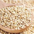Quinoa Grains / Quinoa Seeds 500 gm (Export Quality). 
