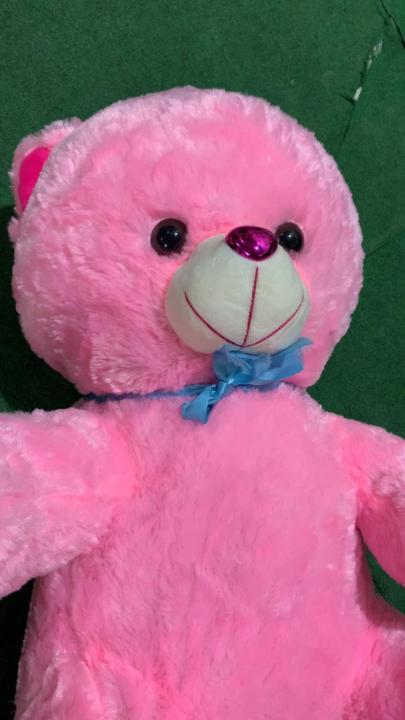 Teddy Bear for Girls – Premium Plush, Soft & Washable Stuffed Toy 18 ...