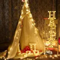 LED Fairy Light Decoration String, 20 Feet Length Home Decoration for Diwali, Flameless & Smokeless LED Lights for Any Festival, Diwali, Christmas, Events, Home Decoration (Warm White). 