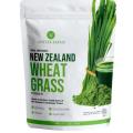 Wheat Grass   Powder         Wheat Grass   Powder        Wheat Grass   Powder         Wheat Grass   Powder. 