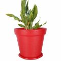 (Pack of 3 & 6) High Quality Fiber Plastic Flower Pot (Multicolor - Height: 8"  &  Dia: 7 inches), Flexible for indoor and outdoor use, Greenness Nursery Multi-Color Well Designed Large Gamla Pot, Nursery Crown Pot for Garden Balcony Flowering Pot. 
