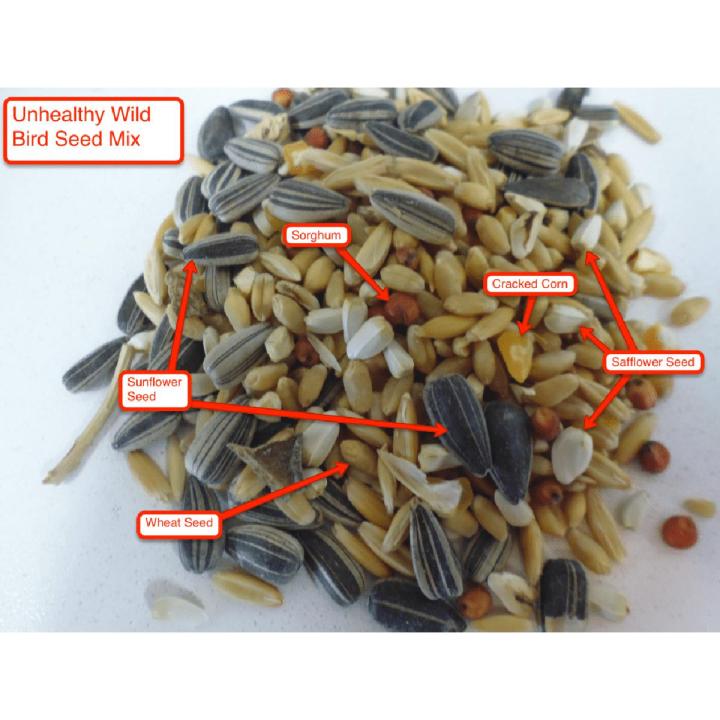 Mixed Feed (RingNeck) Parrot (1 KG)
