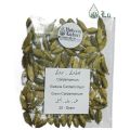 Cardamomum چھوٹی الائچی Elettaria Cardamomum سبز الائچی Green Cardamomum (20-g). 