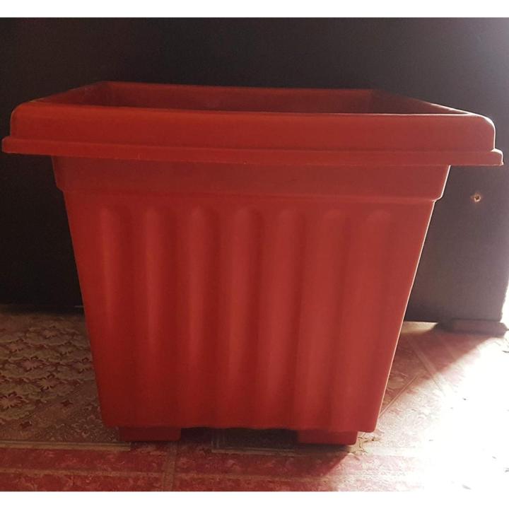 8 inch square pot decent design dia 8 inch, height 6 inch