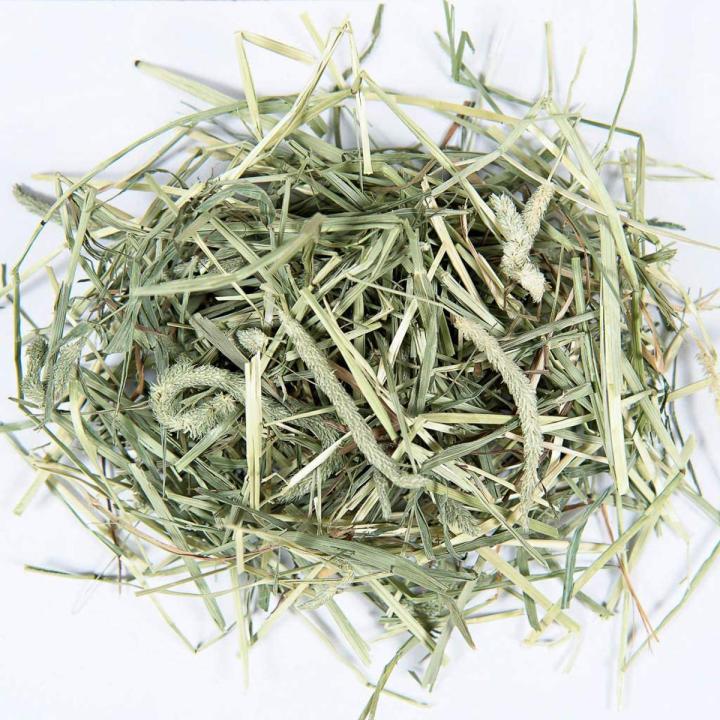 Small Pet Select 2nd Cutting Timothy Hay Pet Food, 1 kg - Rabbit food