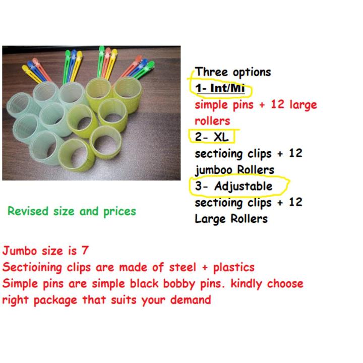 NEW FASHION Hair Rollers and Curlers with Hair Sectioning Clips ( Pack of 12)