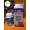 Dengue/Mosquito Killer Lamp with Blue LED Light can be used in Room, Garage etc. 