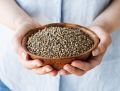 Organic Hemp Seeds - 500g. 