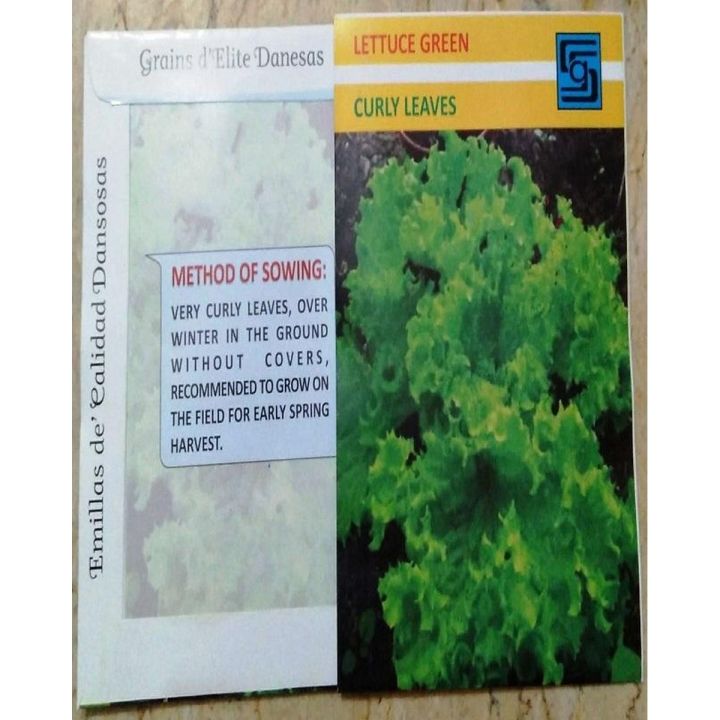 Lettuce Green Curly Leaves