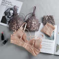 Women's Set Wire Free Push Up Lace Female Underwear Set Transparent Panties Seamless Female Underwear and Panty Set 8815. 