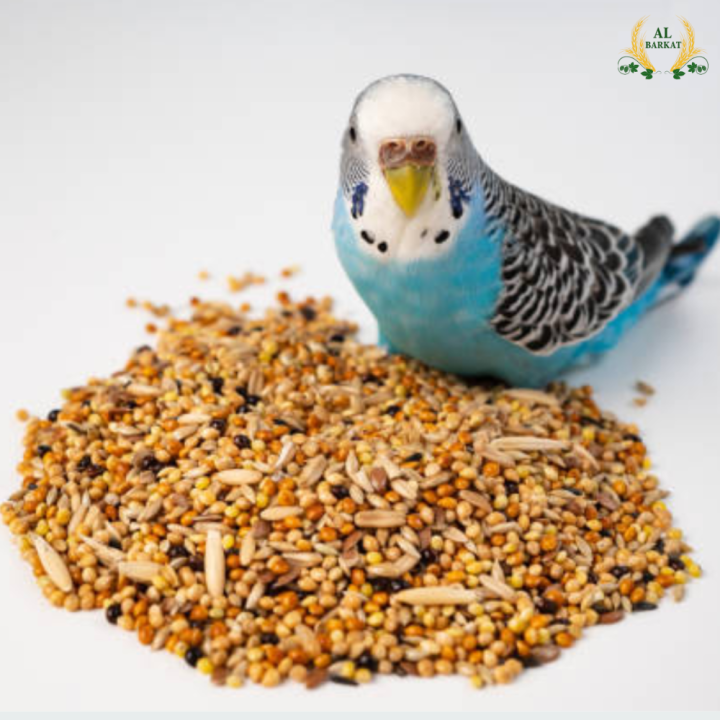 Premium Parrot Seed Mix - Nutrient-Rich Parrot Feed & Parrots Feed Blend in Resealable 1kg, 3kg, 5kg Packs. Ideal for Use in Any Parrot Seed Feeder. A Complete, Wholesome Diet for Vibrant Health, Energy, and Plumage.