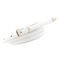 Stylish Artificial Leather Waist Belt for Women. 