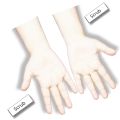 High Quality Reusable Mehndi Practice Hand For Henna Practice - 2 Short Hands With Free Scrubs. 