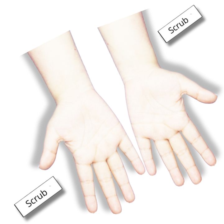 High Quality Reusable Mehndi Practice Hand For Henna Practice - 2 Short Hands With Free Scrubs
