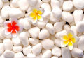 Mat Snow White Garden Pebbles for Sale Cobble Stone- 5 kg pack. 
