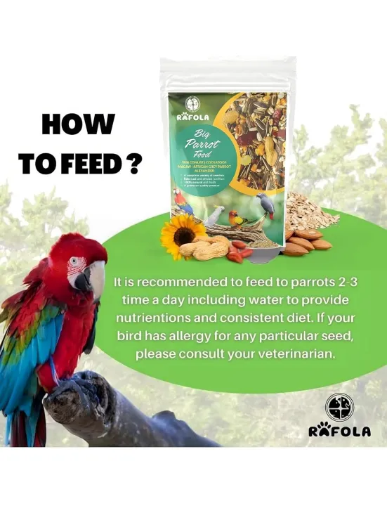 Big%20Parrot%20Food%20-%20Rafola%20Premium%20Bird%20Food%20for%20Exotic%20Birds%20(1%20Kg%20Bag)%20%7C%20Long-Lasting%20Nourishment%20and%20Optimal%20Health%7C%20High-Variety%20Formula%20%7C%20Mix%20Blend%20-%20Image%202