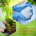UREA (Nitrogen Fertilizer) High Quality Water Soluble for Plant Lovers & Gardeners. 