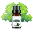 Forest Bath 100 Percent Pure Fragrance Oil 10ml for Aromatherapy and DIY. 