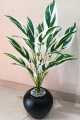 Artificial Money Plant with Ceramic Pot for Home Decor Indoor, Large Faux Plants, Tall Plants for Living Room Decor 3ft Height. 