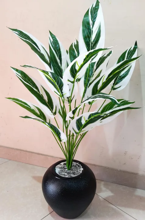 Artificial%20Money%20Plant%20with%20Ceramic%20Pot%20for%20Home%20Decor%20Indoor,%20Large%20Faux%20Plants,%20Tall%20Plants%20for%20Living%20Room%20Decor%203ft%20Height%20-%20Image%203